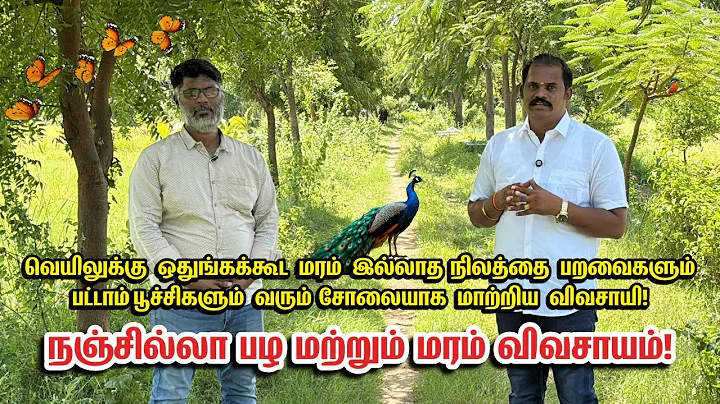 👌நஞ்சில்லா பழ மற்றும் மரம் விவசாயம்! | Timber and Fruits Organic farming | Pasumai Bhartham Agri