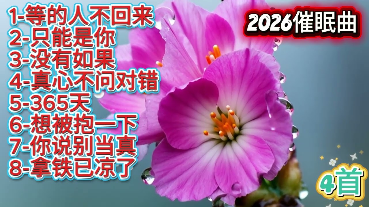 2026动听催眠曲《等的人不回来》《想被抱一下》#必听热门歌曲 #疗愈歌曲 #抒情小曲集