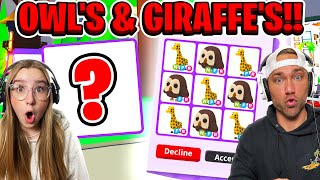 We Trade To Get GIRAFFES & OWLS in Roblox Adopt Me! 😲