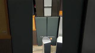 Too Many Speakers? No Such Thing.