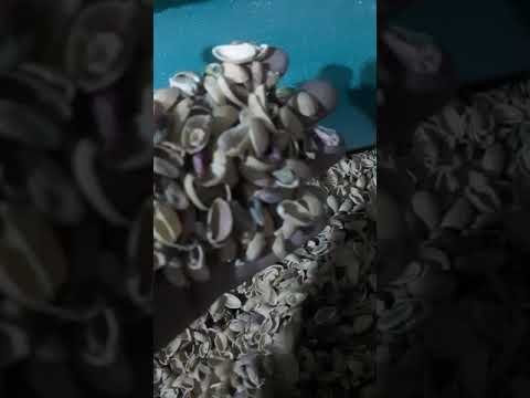 تكسير الفستق الحلبي في سوريا قلب بوظه نوع اول