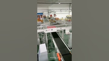 Automatic carton box transition customized conveyor system for carton box palletizing machine