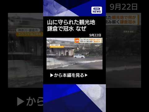 【ニュース】鎌倉の冠水を地形から読み解く　山に守られた町で何が　専門家「日本中あらゆる所に」#shorts