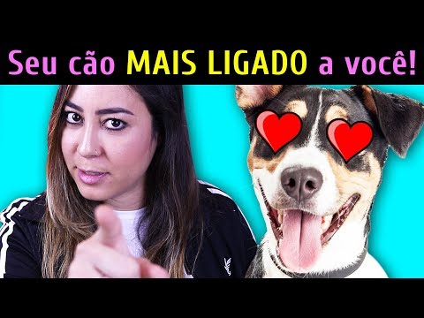 Vídeo: Como Fazer Um Cachorro Amar Seu Dono