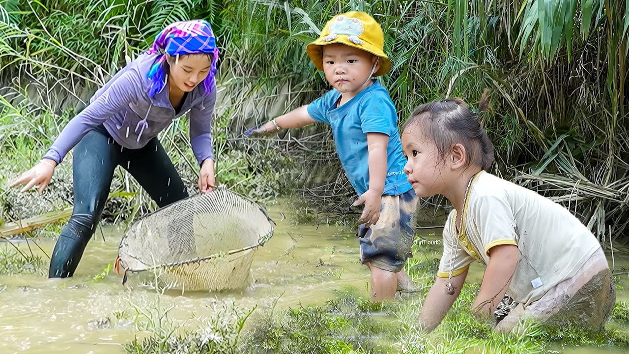 How to Cook Crispy Fish for Lunch - Harvest Giant fish pond on Rainy days to Sell at Market