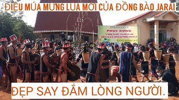 DÂN TỘC JARAI TV | NÉT ĐẸP TRUYỀN THỐNG CỦA ĐỒNG BÀO JARAI (ĐIỆU MÚA MỪNG LÚA MỚI TẠI TÂY NGUYÊN)