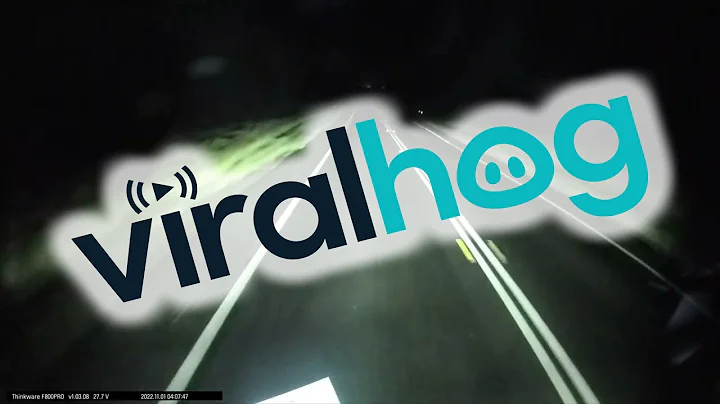 Driver Hits Downed Tree in Road || ViralHog