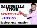 SALMONELLA TYPHI MICROBIOLOGY/ ENTERIC FEVER / Typhoid fever / Salmonella microbiology