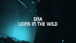 DNA vs. Lions In The Wild