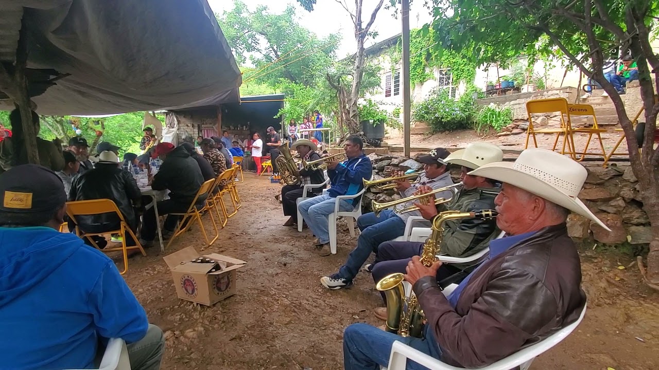 Que Chingon tocan estos Señores .La Novia del Pajaillo.