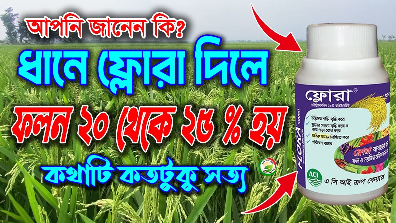 আপনি কি জানেন, ফ্লোরা ব্যবহার করলে ধানের ফলন ২০ থেকে২৫% পর্যন্ত বৃদ্ধি পায়?