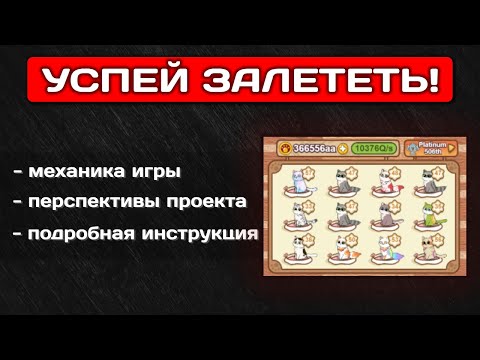 Видео: 🔥 CATIZEN - ЖИРНЫЙ АИРДРОП ДЛЯ УЧАСТНИКОВ. ПОЛНЫЙ РАЗБОР ПРОЕКТА. AIRDROP CATIZEN