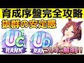 誰でも簡単!!育成序盤が超安定する育成方法をテンプレ化しました【ウマ娘】【UAF】