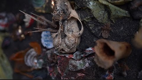 King Lazy Eye - Loaded Guns (Official Lyric Video)