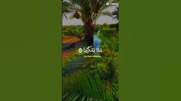 قرآن كريم/من سورة النحل ألآية 128/127للقارئ الشيخ عبدالرحمن السديس