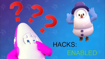 I Found a HACKER in Fall Guys!?!