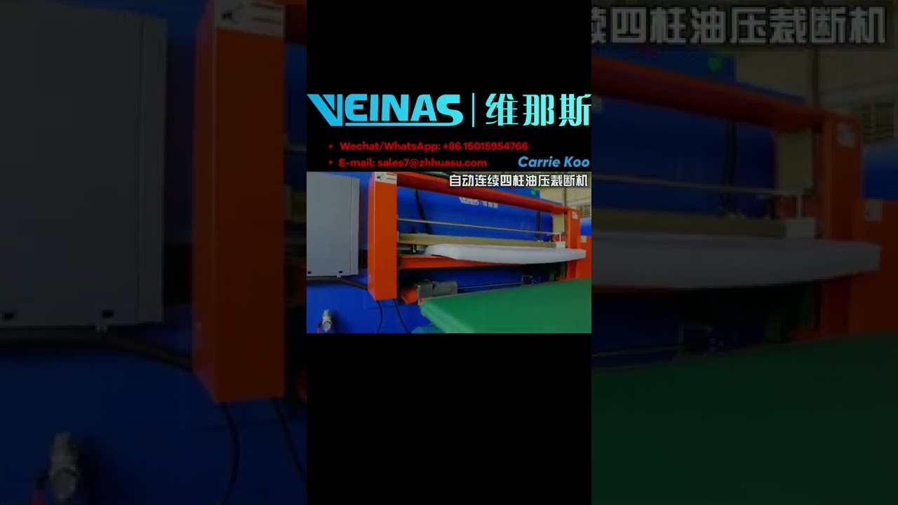 # Veinas Automatic Die Cutting Machine # Foam