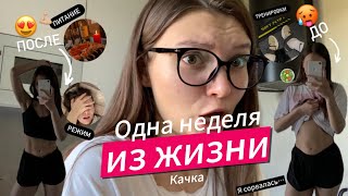 ОДНА НЕДЕЛЯ ИЗ ЖИЗНИ НАЧИНАЮЩЕГО КАЧКА | тренировки, похудение, сорвалась?🫣🥵 подготовка к лету☀️