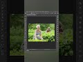 Remove people in 15Second with photoshop!#adobephotoshop #adobephotoshoptutorials#illustrator#shorts