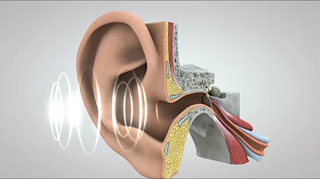 ¿Cómo funciona el cerebro de los sordos?