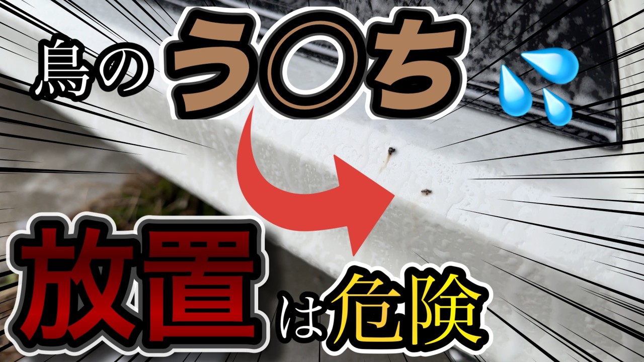 【洗車】コーティングされている車でも汚れを放置すると取り返しがつかなくなります！定期的にメンテナンスしてキレイな車を維持しましょう！日本にキレイな車が増えますように！徹底洗車後はたまにで良い！楽に行こ
