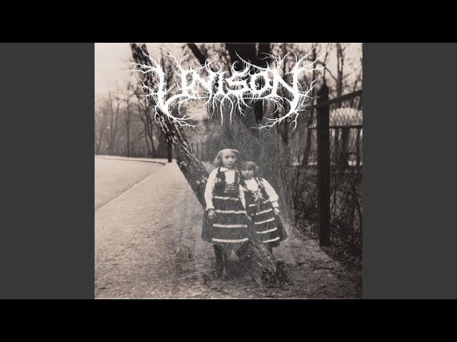 Watch Arp Quad Rollerskate on YouTube Watch Arp Quad Rollerskate on YouTube