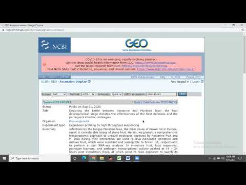 NCBI GEO databse introduction and gene expression retrieval