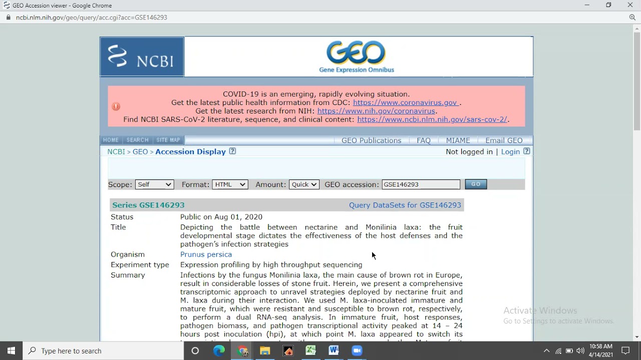 NCBI GEO databse introduction and gene expression retrieval YouTube