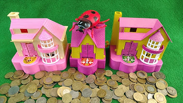 World’s Cutest Puppy Coin Box live – Magic Unboxing