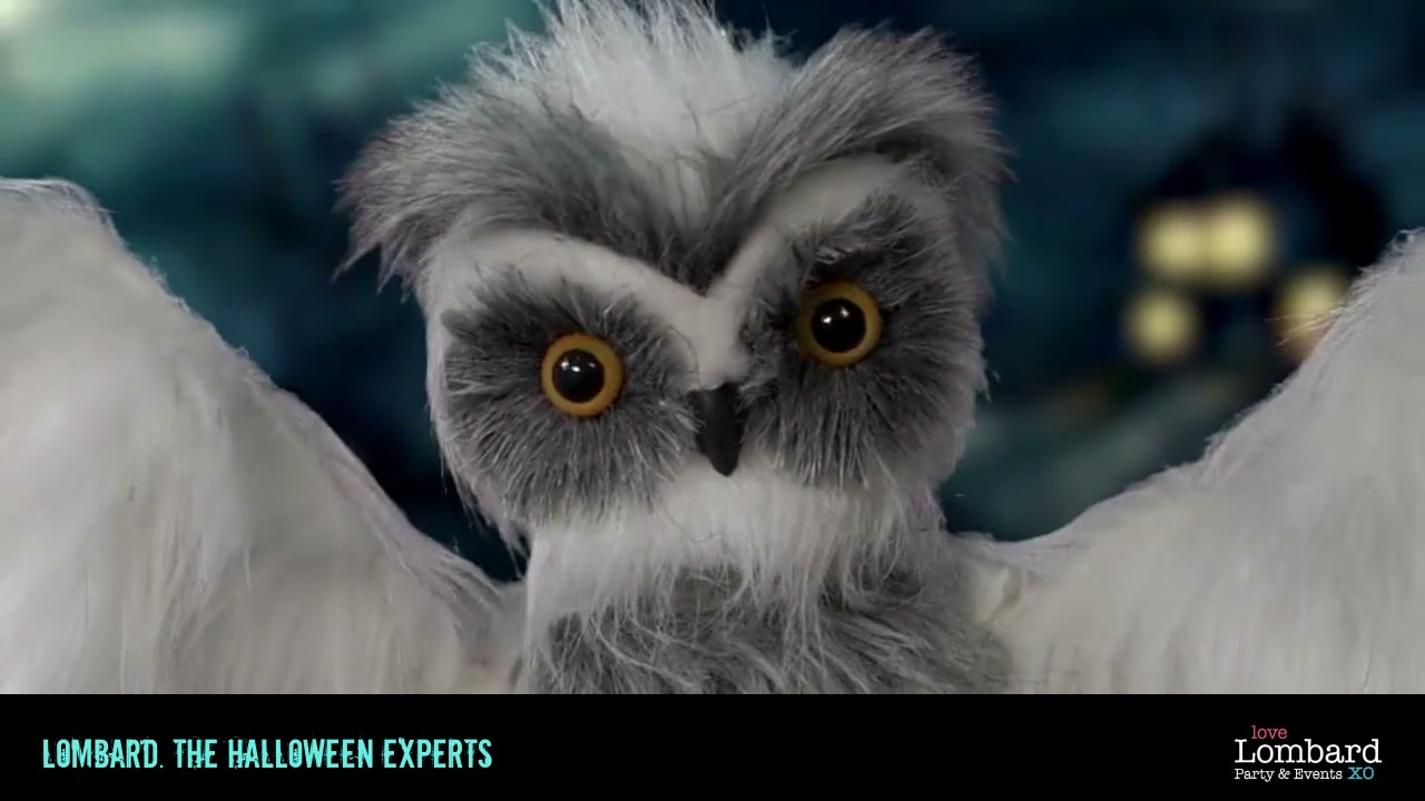 Owl White Animated Hanging 98cm - 3057