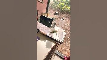 Work with me as a medical coder 🦋♥️ #explore  #fyp #medical #foryou