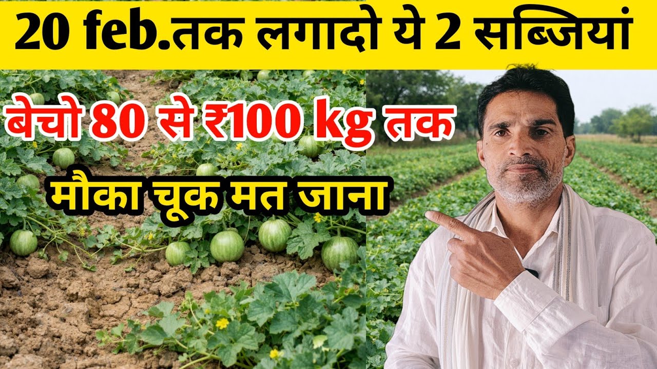 बेचो 80 से 100₹kg तक💰💥 20 फरवरी तक लगादो यह दो सब्जियां मौका चूक मत जाना|