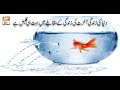 Watch Paigham e Quran - 26th August 2018 - ARY Qtv Online In HD