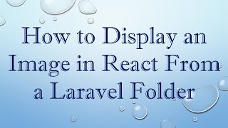How to Display an Image in React From a Laravel Folder