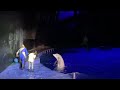 9 year old was chosen to experience the job of a dolphin trainer at atlanta aquarium 2023