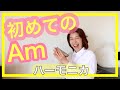 【初めてのAm】 トレモロ複音ハーモニカ♪Am初心者♪短音階