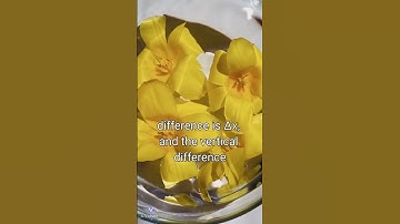 Find the Distance Between Two Points | Pythagoras #mbti #상위권수학 #excel