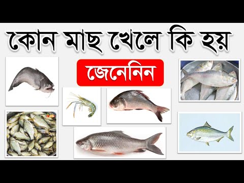 ভিডিও: কী ধরণের মাছ বেশি খাওয়ার পক্ষে মূল্যবান নয়