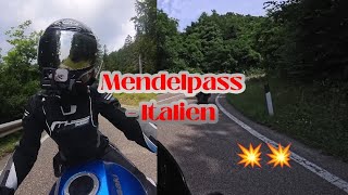 Mendelpass x Er6f