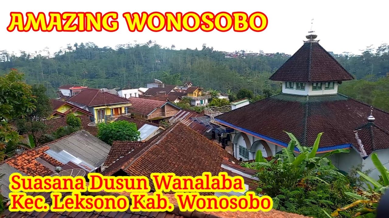 Eksplore pedesaan paling Utara Dusun Wanalaba Manggis Leksono Wonosobo