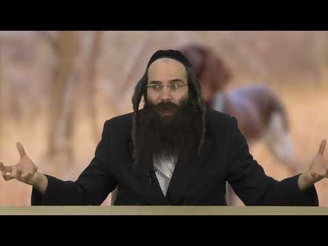 לעבור כלבי שמירה בשואה | הלקח שבסיפור | הרב אשר קובלסקי