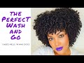 The Perfect Wash and Go | The Mane Choice