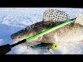 ПО ЛЮБИМЫМ МЕСТАМ - ЗА СУДАЧКОМ! Зимняя рыбалка 2021 в Сибири