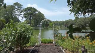 3020 Edinburgh Drive, Virginia Beach, VA 23452