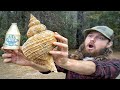 A Day of Exploration Turns Into INSANE Fossil Seashell Hunting & Mudlarking Adventure on the River!