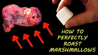 How To Perfectly Roast Marshmallows☑️
