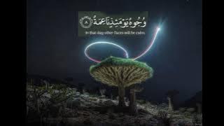 قران بصوت عبدالرحمن مسعد حالات واتساب