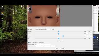 Sims 2 Skin Adjuster Program V3 Presentation