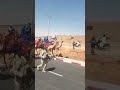 الرئيس النيجري مع أهله البدو حفظه الله ورعاه يارب