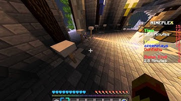 Mineplex team sg Cross teamers